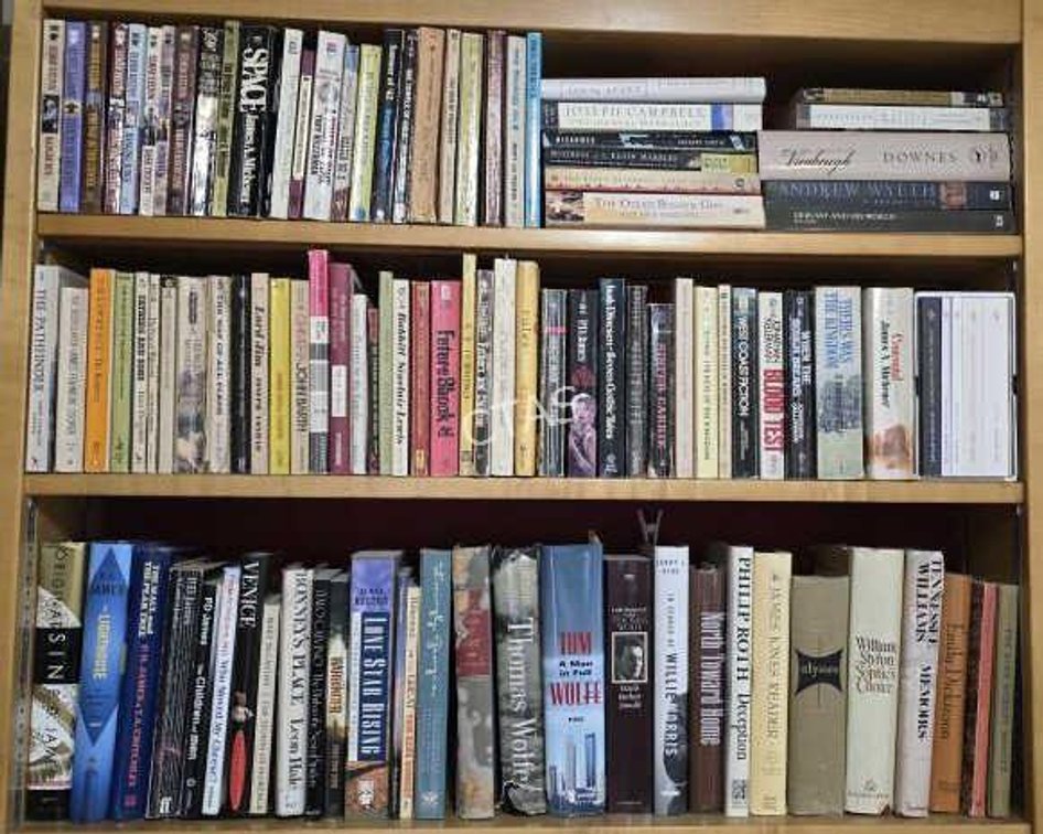 Books on (3) Shelves, Various Genres