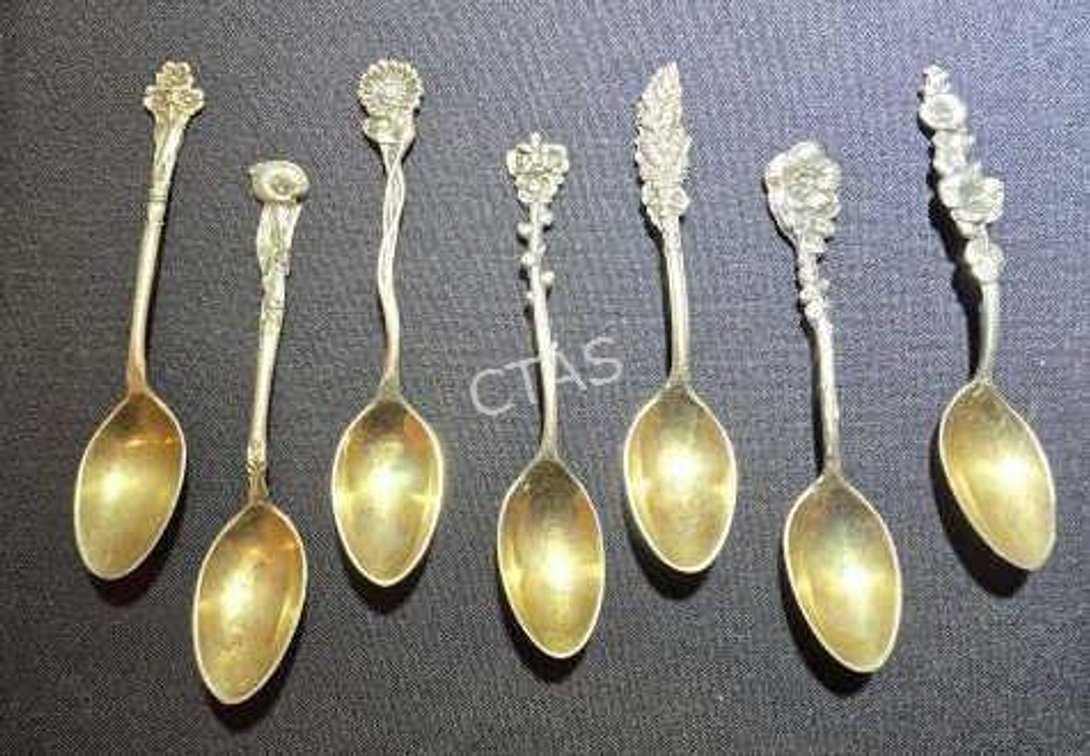 (7) Reed & Barton Harlequin Floral Demitasse Spoon