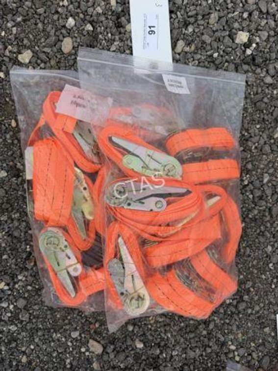 (20) Ratchet Straps - 2.5cm x 2m