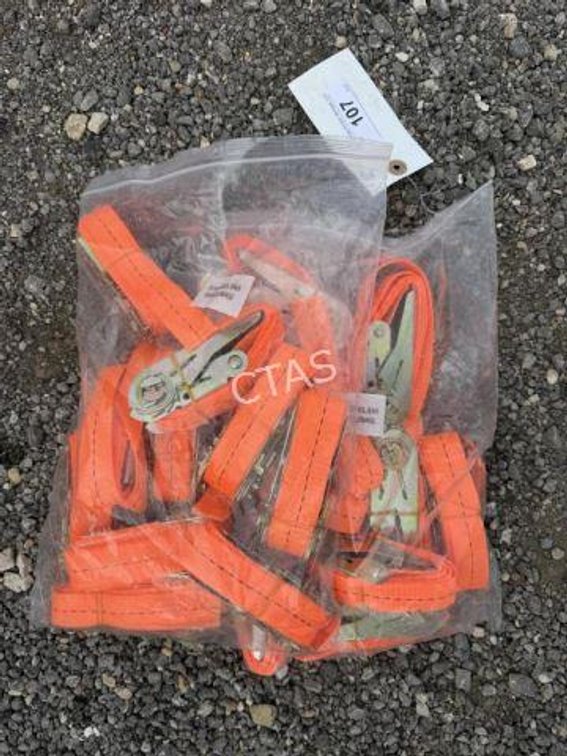(20) Ratchet Straps - 2.5cm x 1.5m