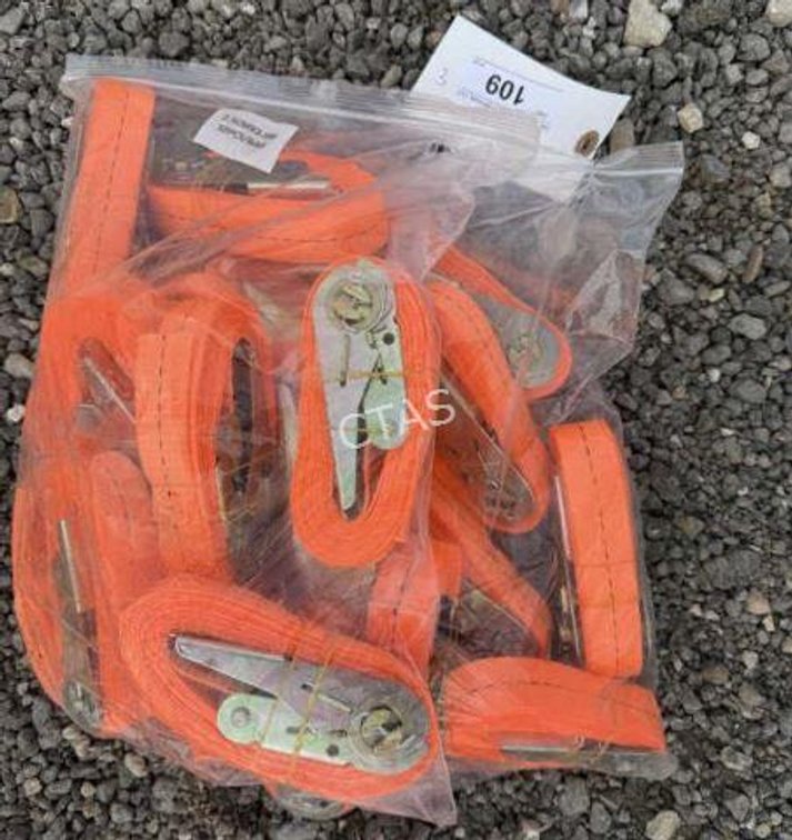(20) Ratchet Straps - 2.5cm x 3.5m