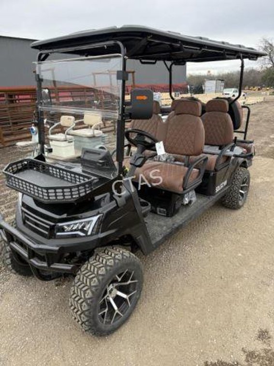 6-Seater Electric Golf Cart (SD Launch)