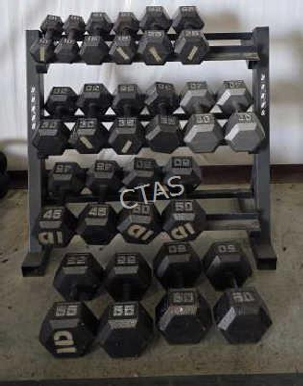 DBR 86 Weight Stand & Weights
