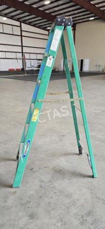 Werner Ladder - 6', 225 lb