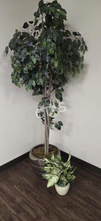 Faux Ficus Tree in Pot & Small Faux Potted Plant