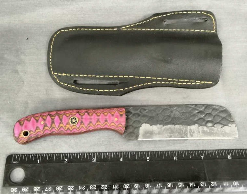 Hunting Knife 8.5" w/Belt Holder