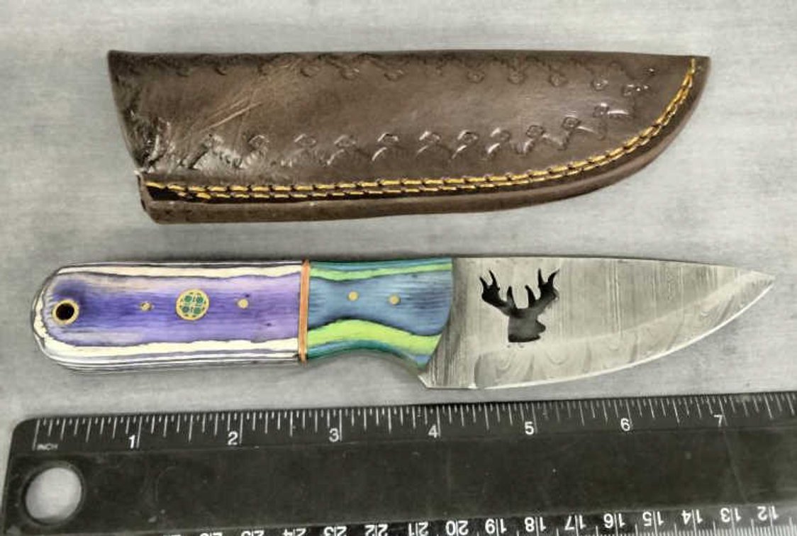 Hunting Knife 8.5" w/Sheath - Buck