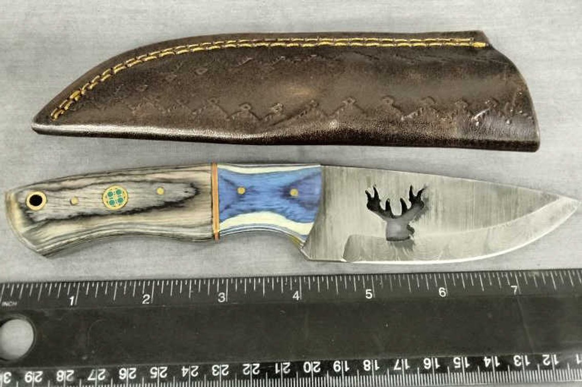 Hunting Knife 8.5" w/Sheath - Buck
