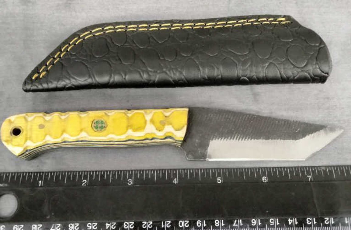 Hunting Knife 8" w/Sheath