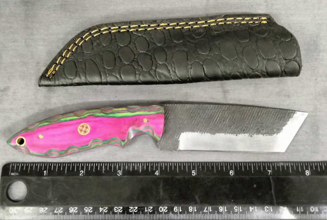 Hunting Knife 8.25" w/Sheath
