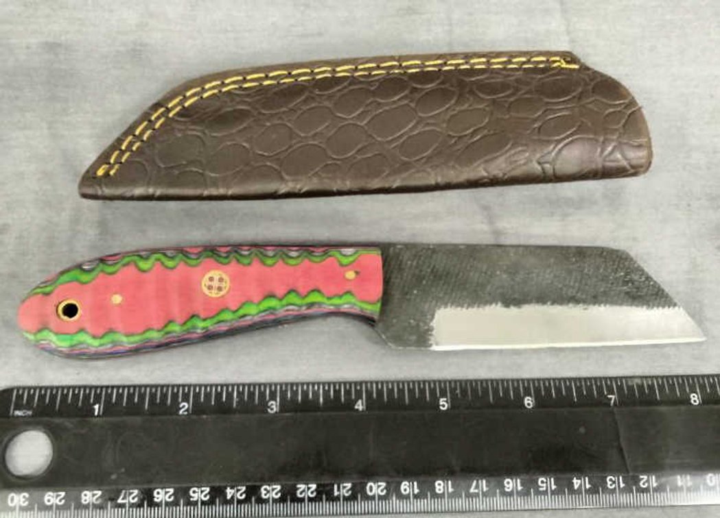 Hunting Knife 8.25" w/Sheath