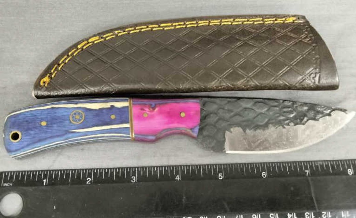 Hunting Knife 8.25" w/Sheath