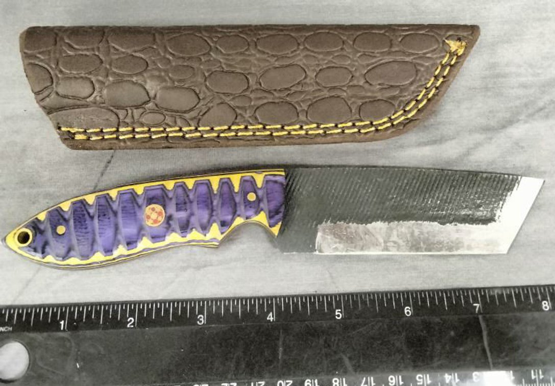 Hunting Knife 8.25" w/Sheath