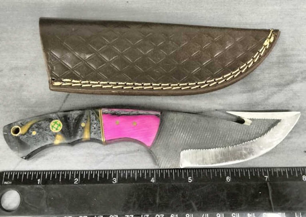 Gut Hook Knife 8" w/Sheath