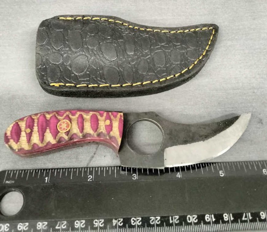 Skinner Knife 6" w/Sheath
