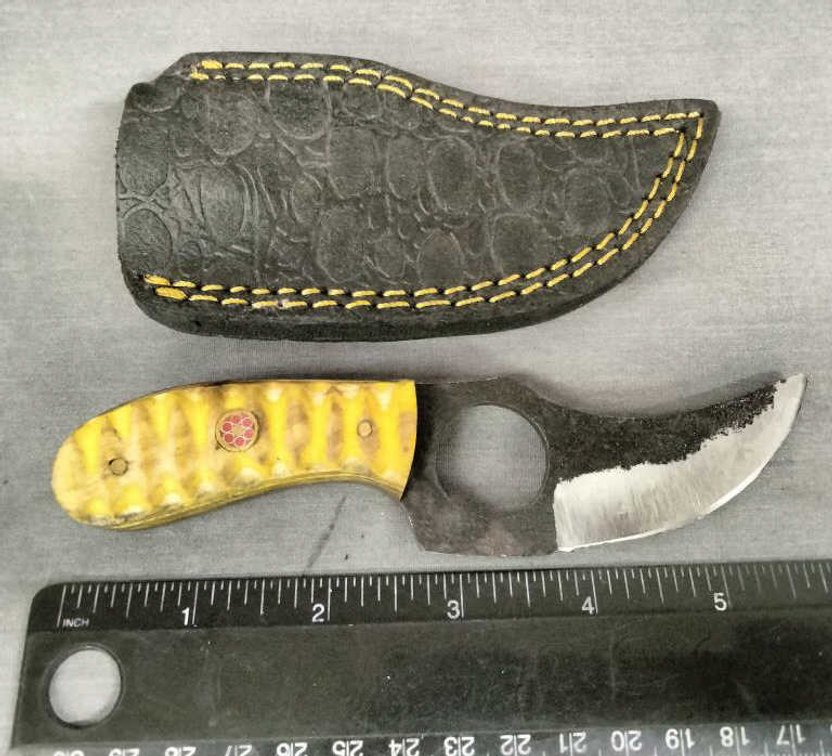 Skinner Knife 6" w/Sheath