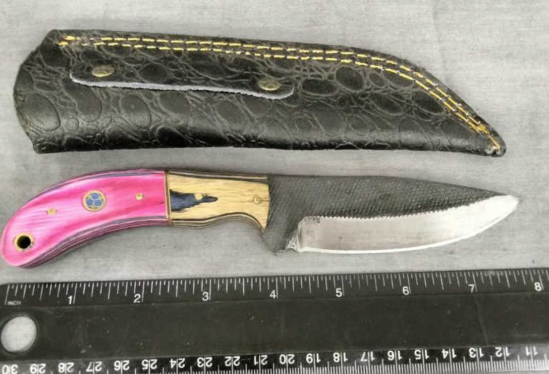 Hunting Knife 8" w/Sheath