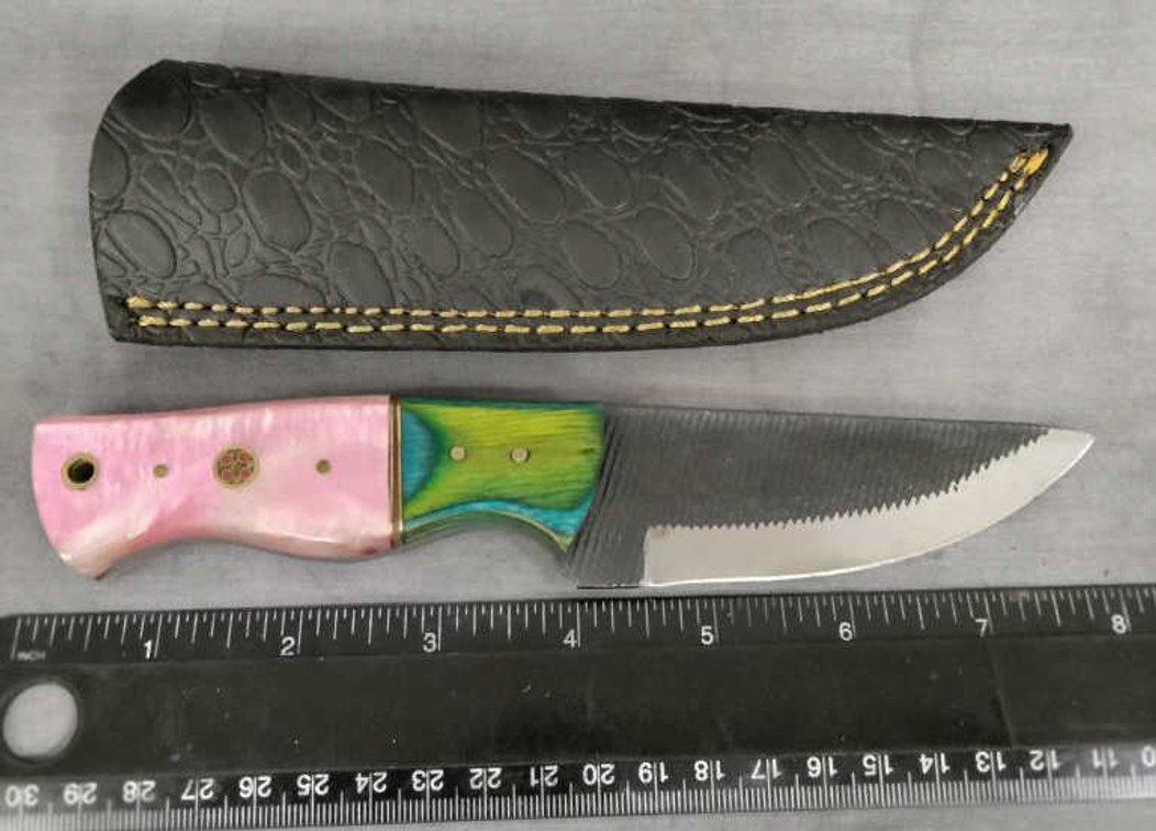 Hunting Knife 8" w/Sheath