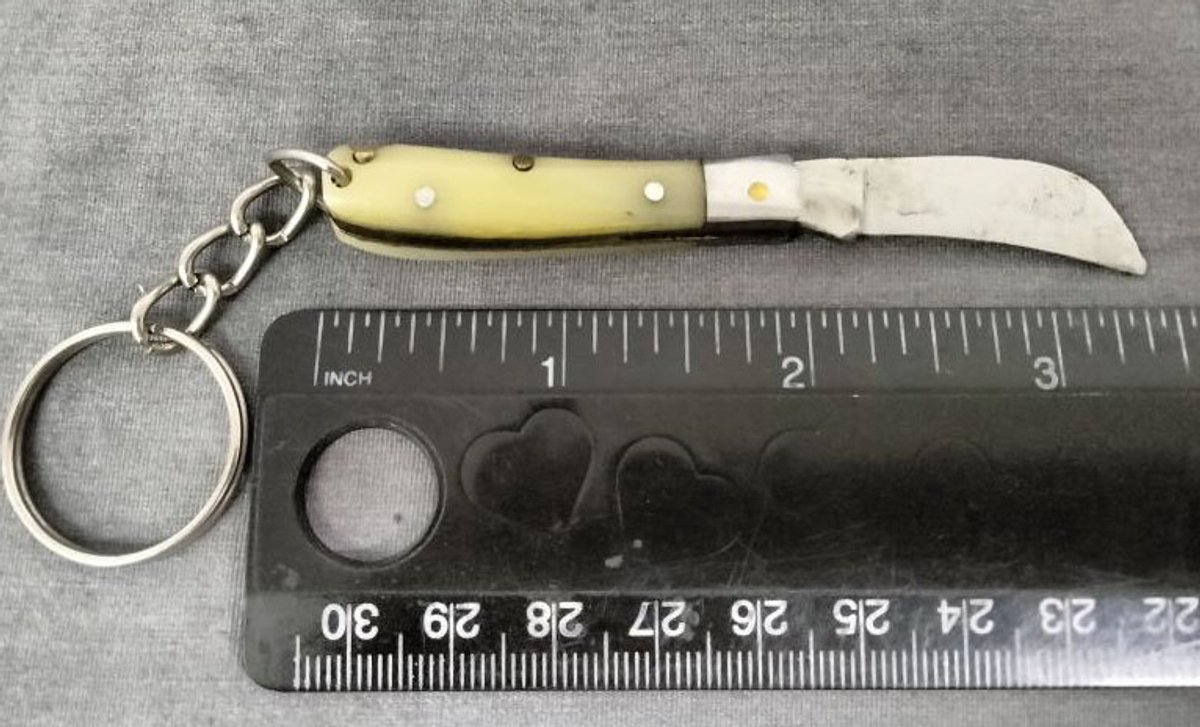 Pocket Knife Key Chain 3.5"