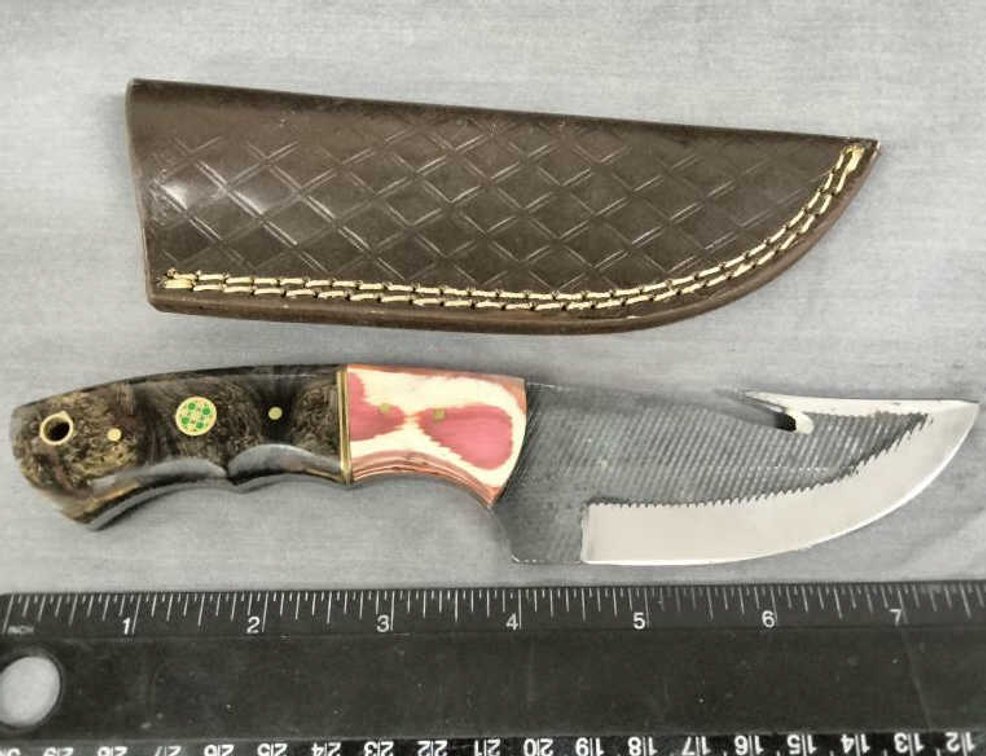 Gut Hook Knife 8.5" w/Sheath