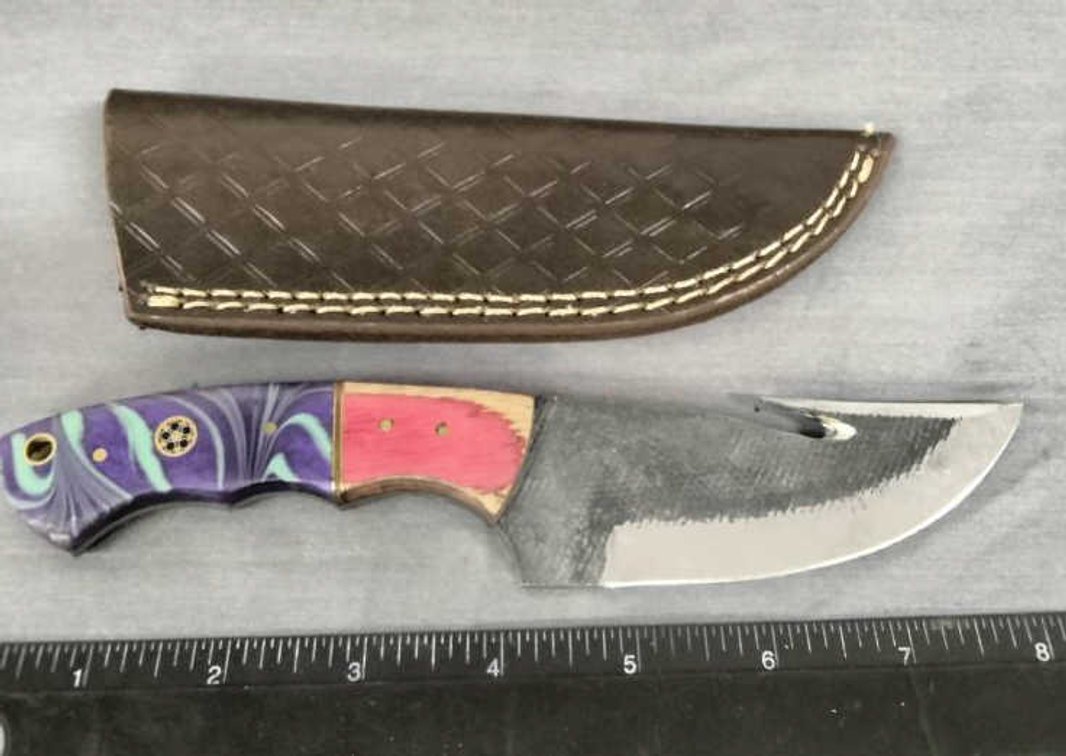 Gut Hook Knife 8" w/Sheath