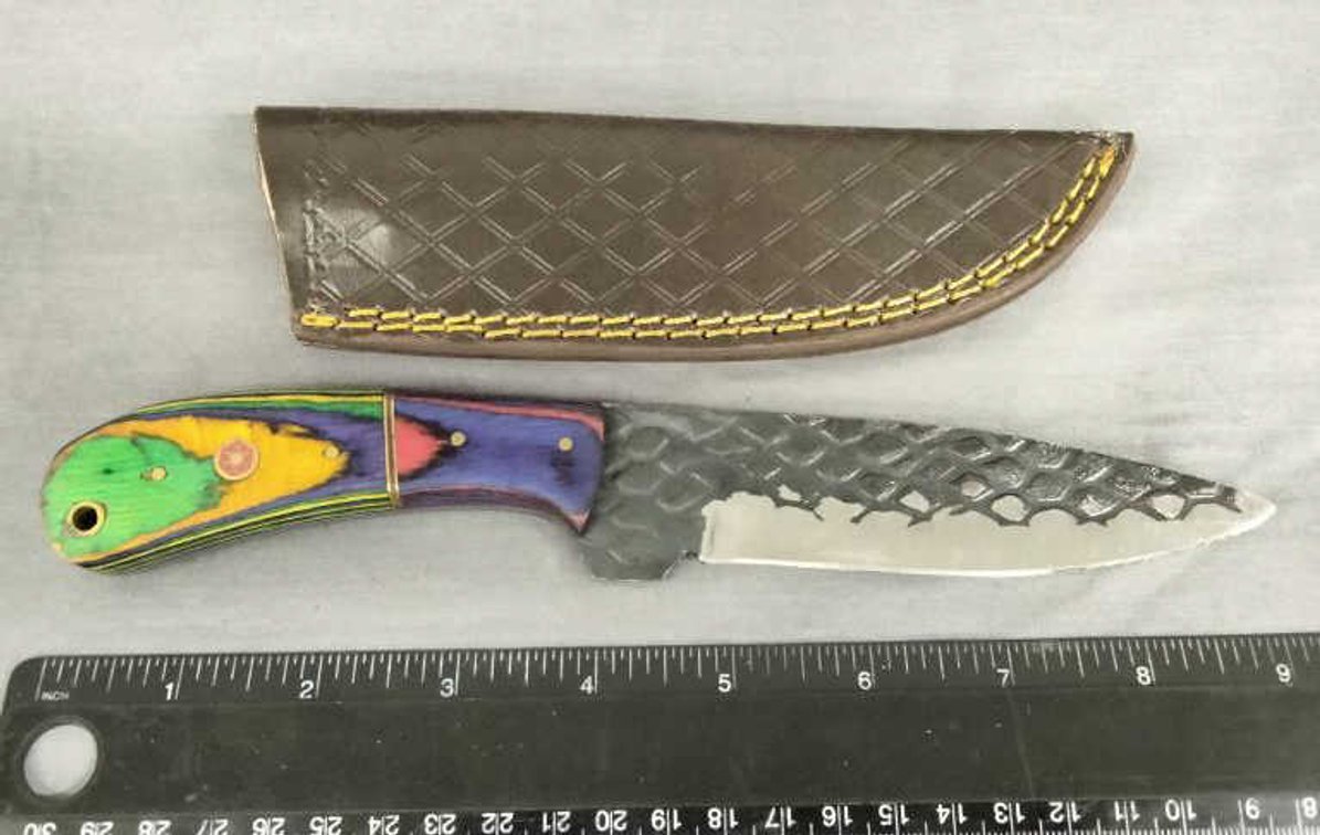 Hunting Knife 9" w/Sheath