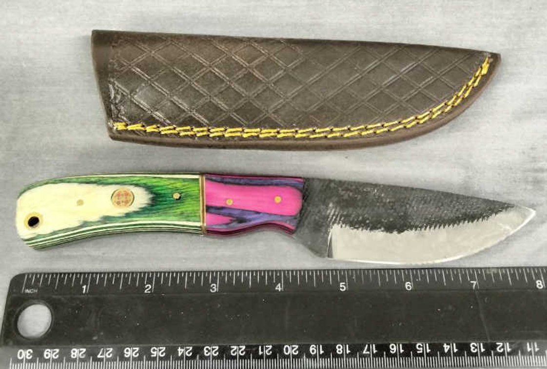 Hunting Knife 8.25" w/Sheath