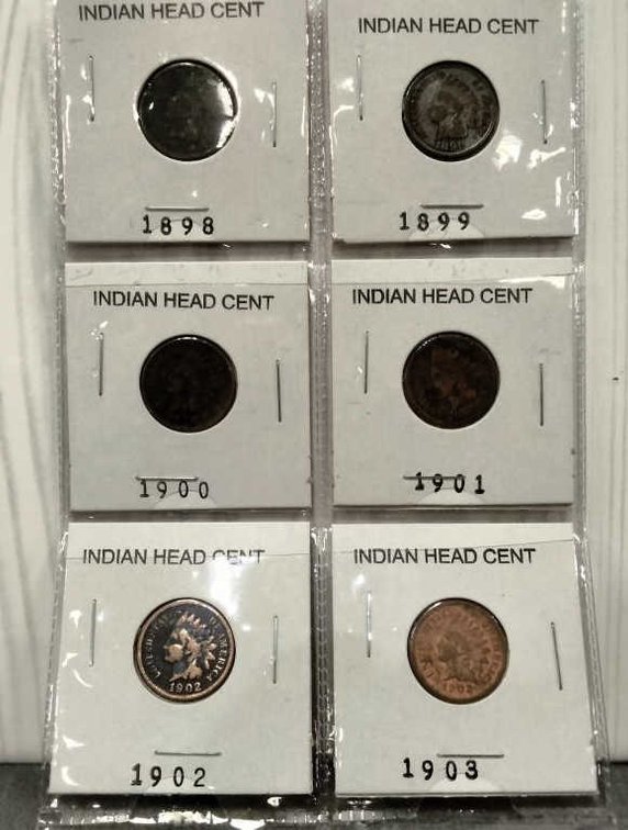(6) Indian Head Cents