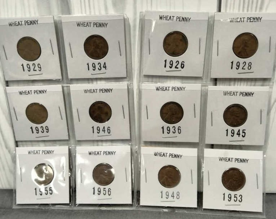 (12) Wheat Cents