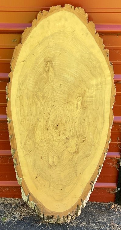 Black Poplar Wood Slab