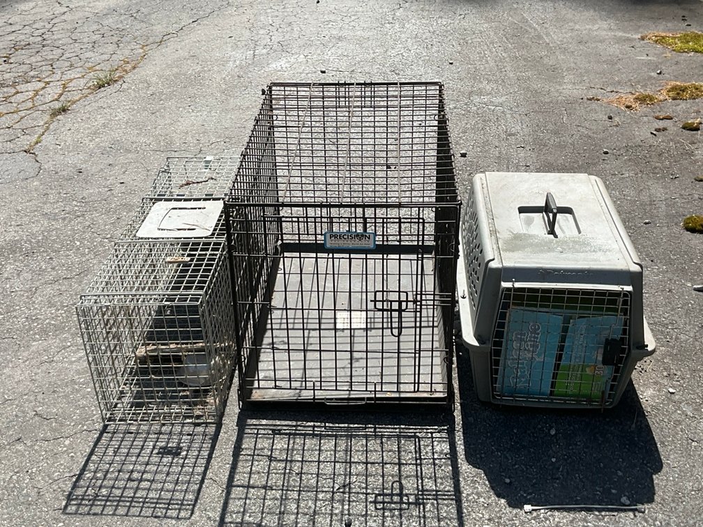 Adventek Animal Trap With Precision & Petmate Pet Carriers