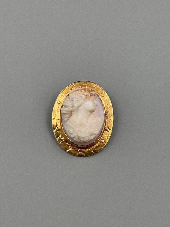 10K Gold Pin with High Relief Shell-Carved Cameo