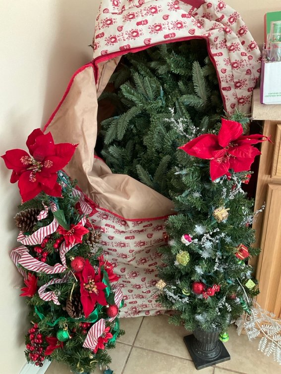 Christmas Tree in Storage Bag & Glassware