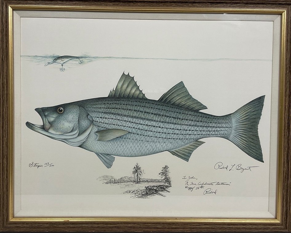 Framed Fish Print