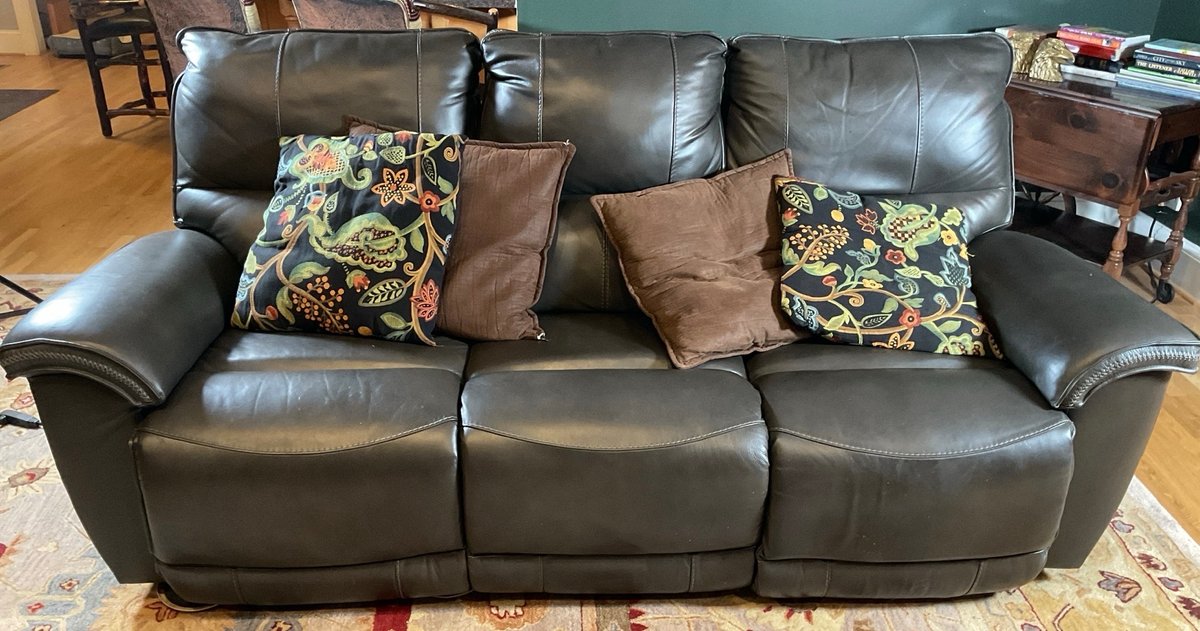 Contemporary Power Reclining Leather Sofa with USB Ports