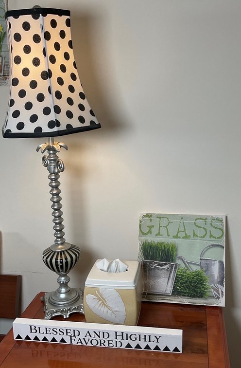 Eclectic Home Decor Accent Lamp Wall Art and Tabletop Accessories