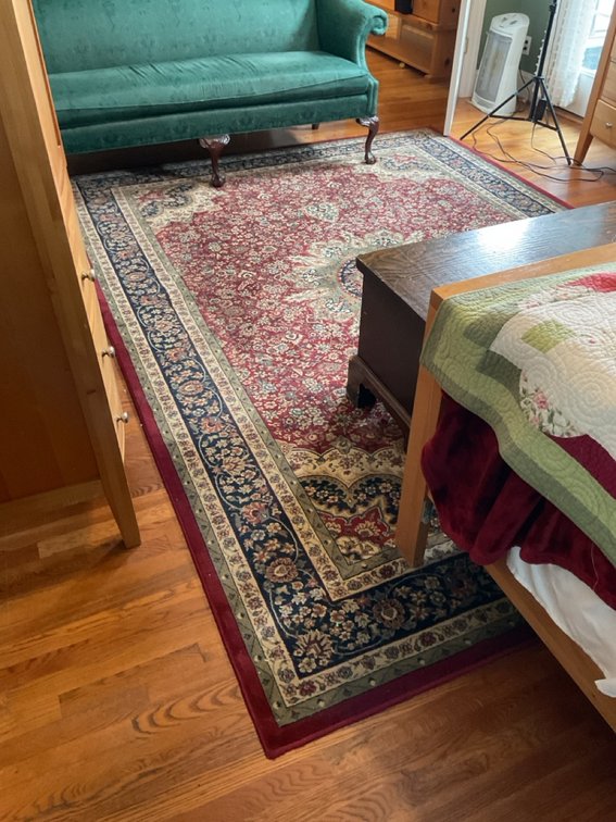 Sphinx by Oriental Weavers Ariana Collection Area Rug 8x11