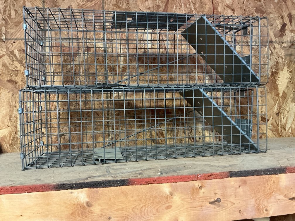 Havahart Lititz PA Live Animal Cage Traps