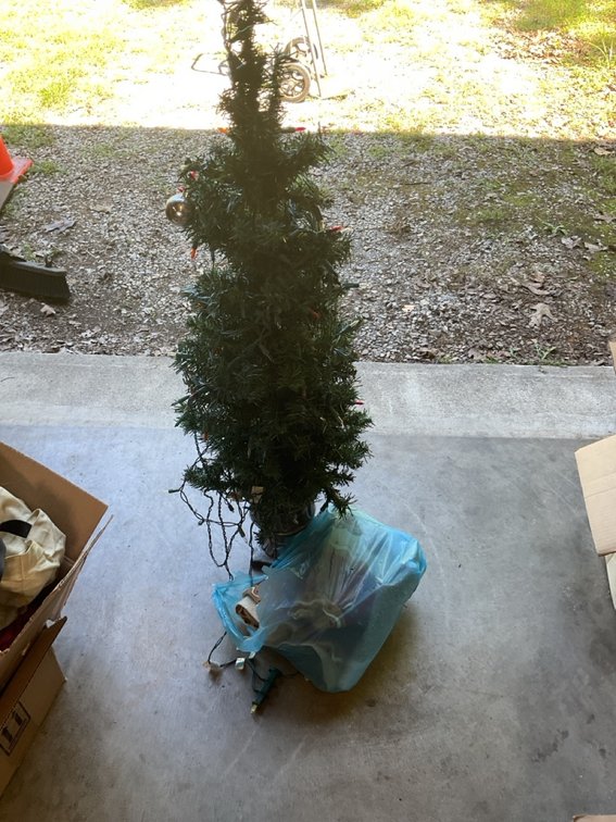 Christmas Tree And Decorations