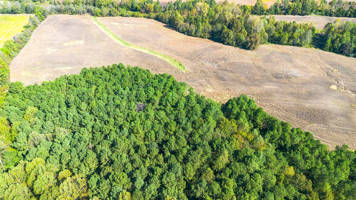 Image for 381 Kiper Whitworth Lane