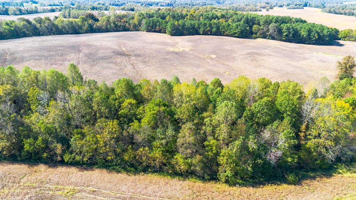 Image for 381 Kiper Whitworth Lane