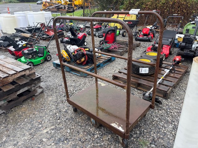 Image for D1. Steel roll cart