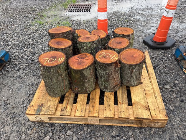 Image for Ln. Pallet of cherry logs for smoker