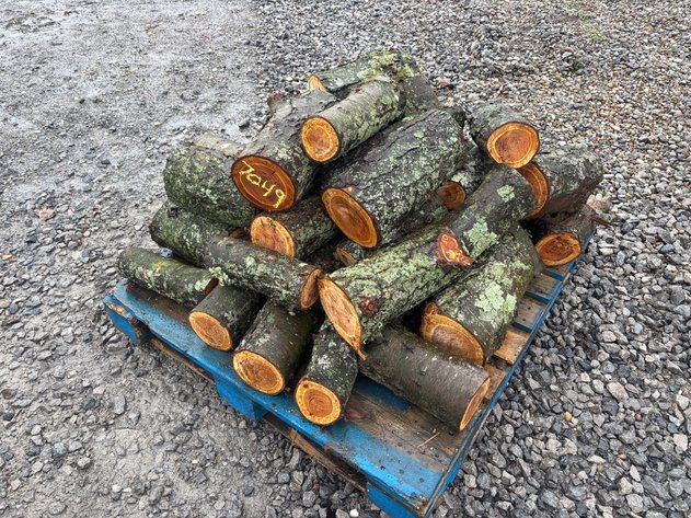 Image for Ln. Pallet of cherry logs for smoker