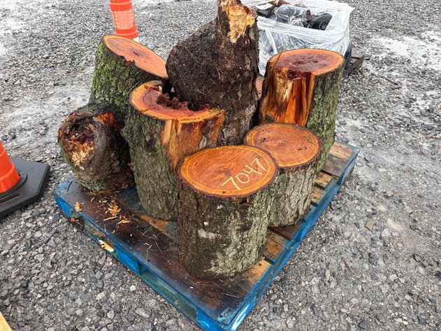 Image for Ln. Pallet of cherry wood logs for smoker