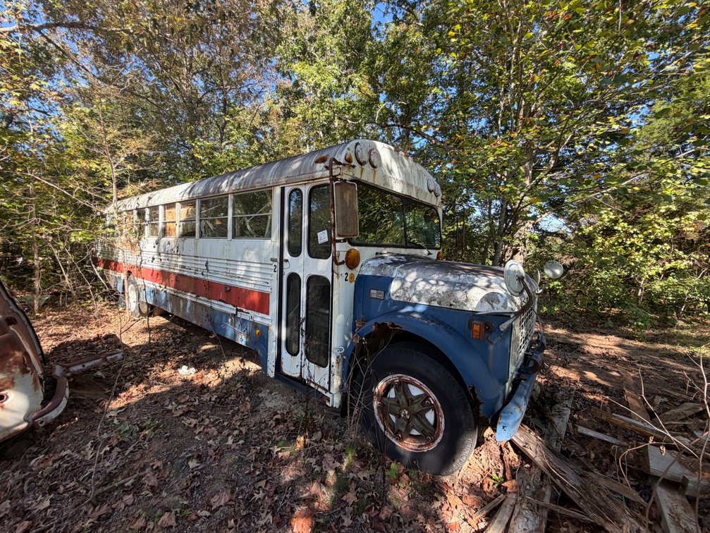 Bus