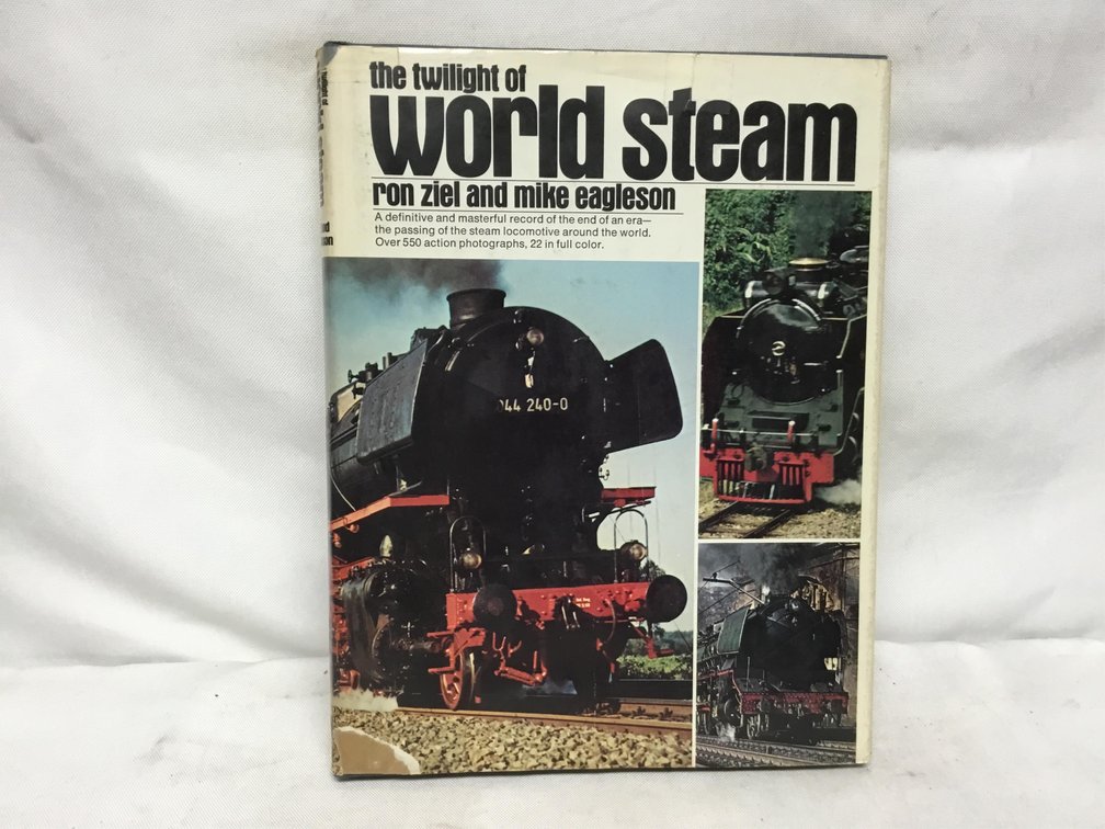 The Twilight World Steam
