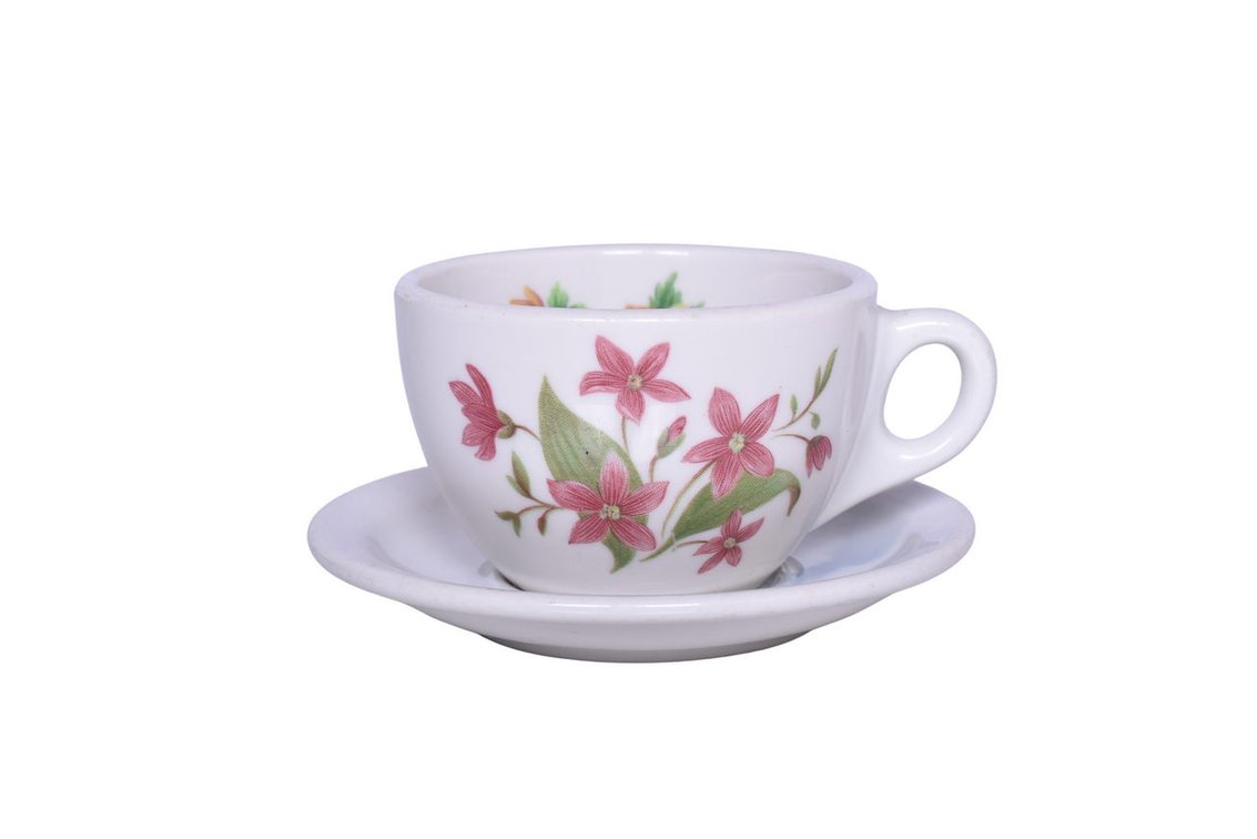 Great Northern Railroad China Mountain and Flowers Cup and Saucer Set