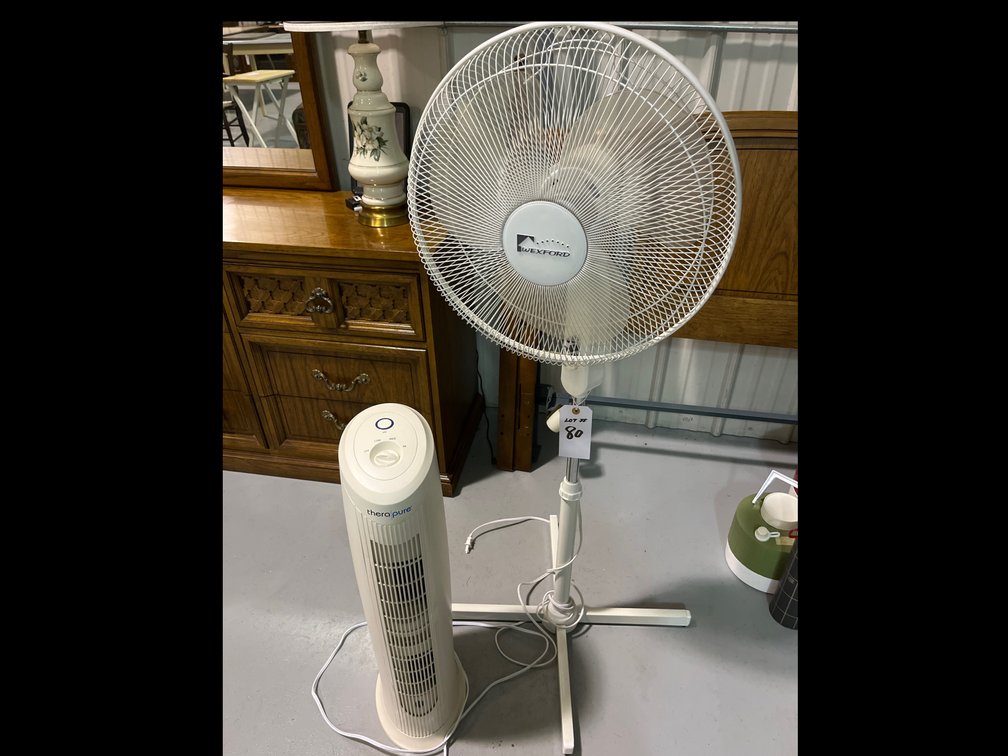 Floor Fan and Air Purifier 