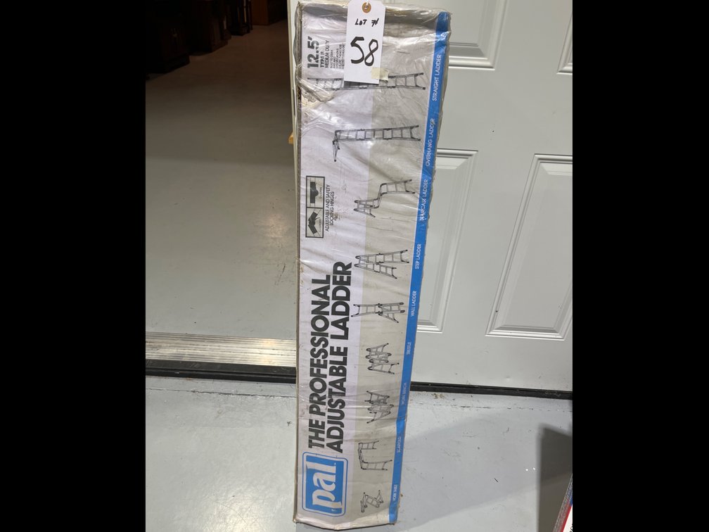 Pal The Professional Adjustable Ladder